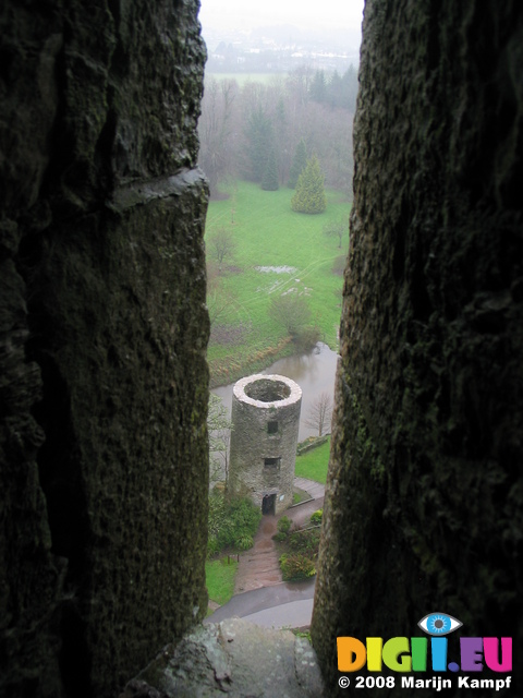 24844 View from Blarney Castle Lookout tower